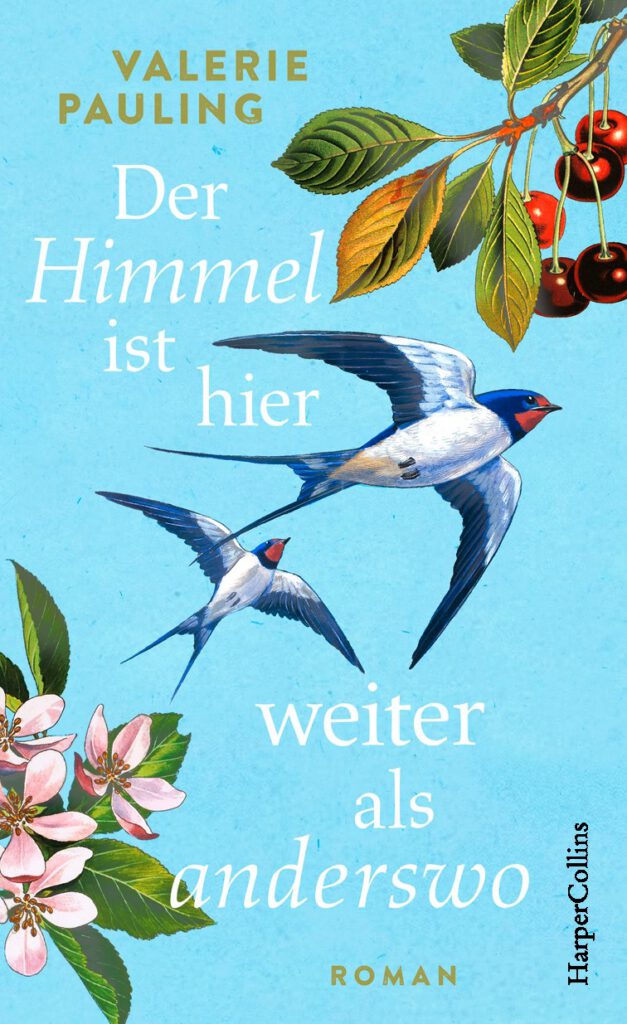 Cover Der Himmel ist hier weiter als anderswo Roman Valerie Pauling